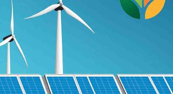 Building a Greener Web: Eco-Friendly Hosting