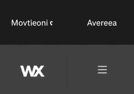 Wix Elevates Design