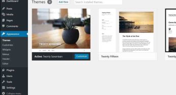 WordPress on the Edge: Automattic’s Legal Battle Shakes