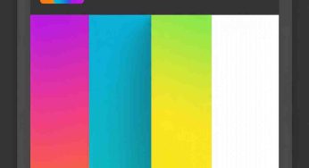 Stand Out Online: The Power of Vibrant Palettes and Typography