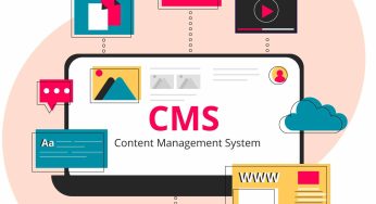 The Role of Headless CMS in Modern Web Development